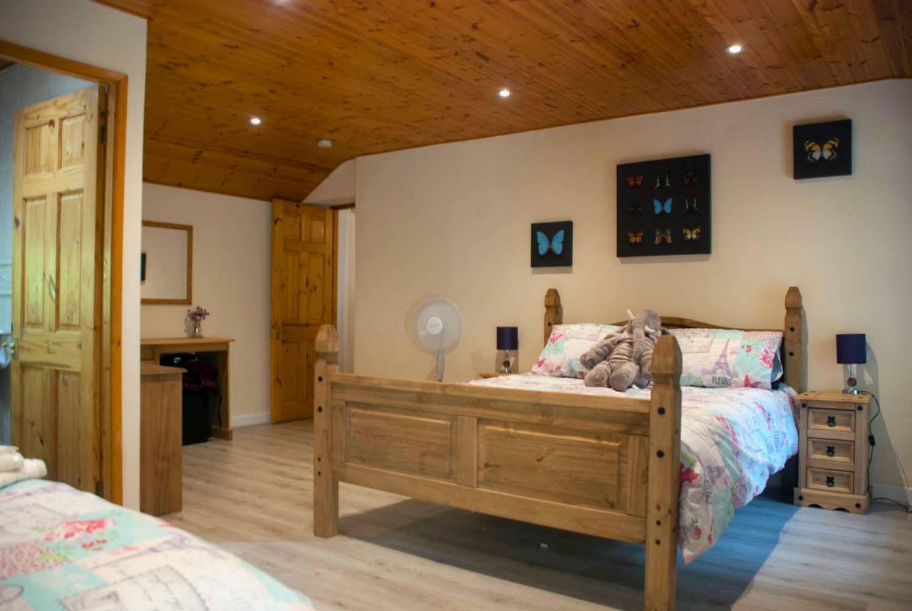 Hilltop Cottage/ Penrhiw Maentwrog Dış mekan fotoğraf